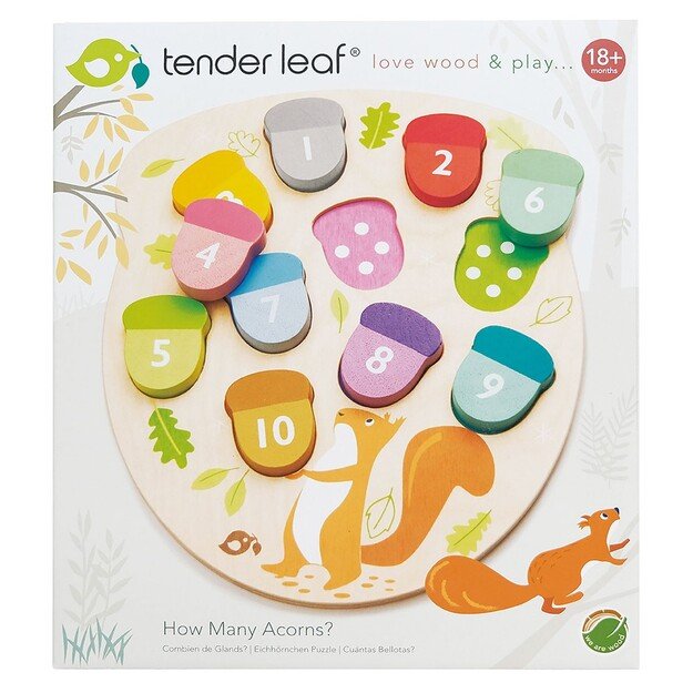 Tender Leaf - Learning Numbers - How Many Acorns - (TL8415)