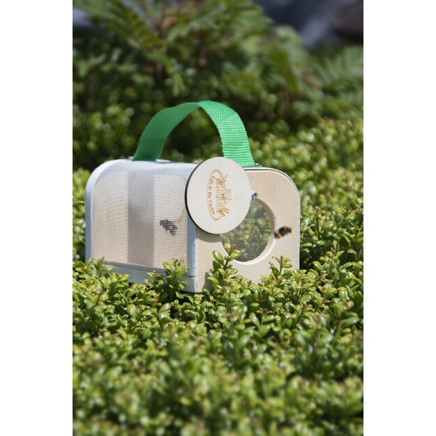 Gardenlife - Insect observation box (KG229)