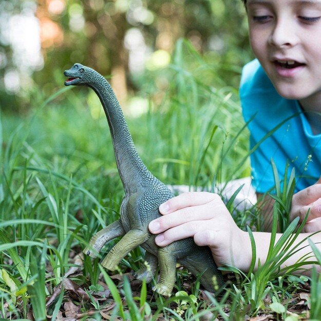 Schleich - Dinosaurs - Brachiosaurus (14581)