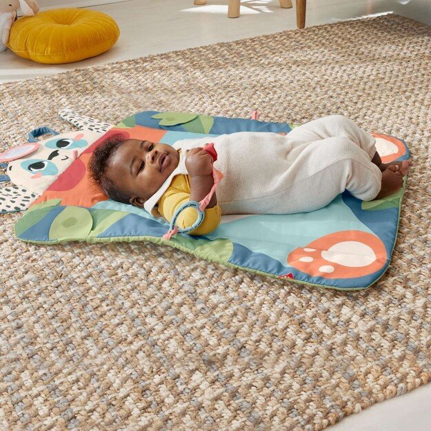 Fisher Price Newborn – Roly-Poly Panda Play Mat (HKD65)