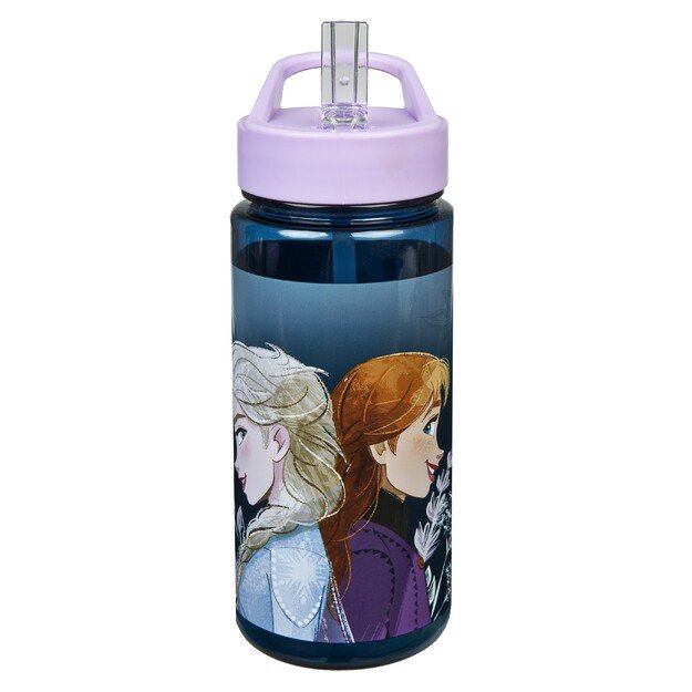 Undercover - Disney Frozen - Drinking Bottle (6600009913)