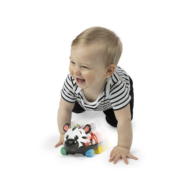 Baby Einstein - Zen Oball Vehicle - (BE-16772)