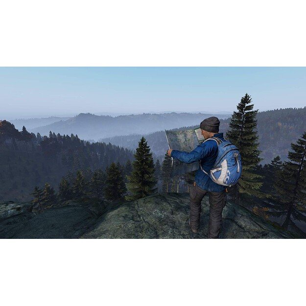 DayZ
      
        - PlayStation 4