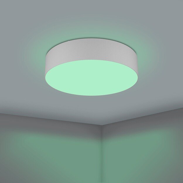 EGLO - Romao-Z loft lamp gray Ø57 - RGB + TW - Zigbee, Bluetooth