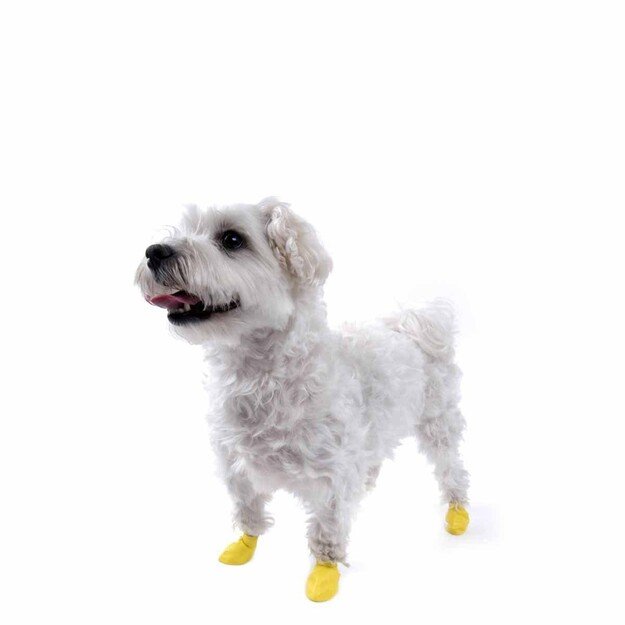 PAWZ - Dog boots Xxs - Yellow (632.8042)