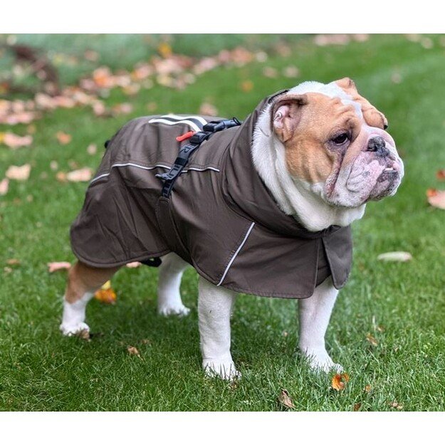 Hunter - Dogcoat Nordby Pug & Fr Bulldog 32, cream - (203496)