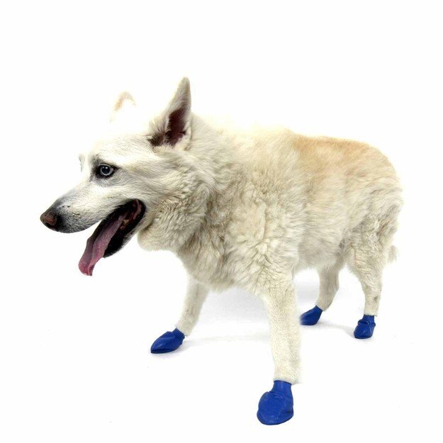 PAWZ - Dog boots M - Blue (632.8048)