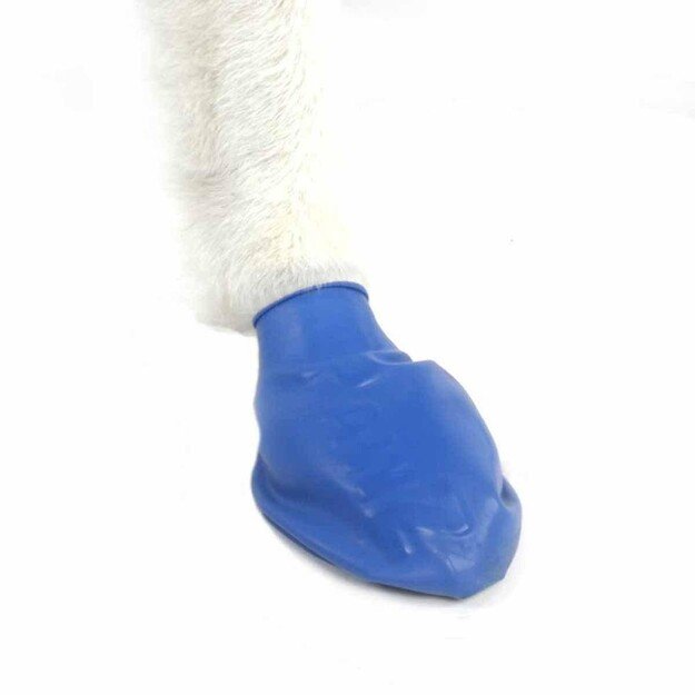 PAWZ - Dog boots M - Blue (632.8048)