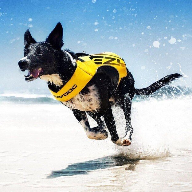 Ezydog - Life Jacket X2 Boost Yellow L 27 - 41 kg