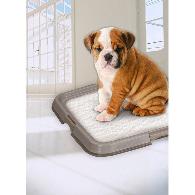 Pawise - Pee Pad Tray For Pads 56X56CM - (638.2012)