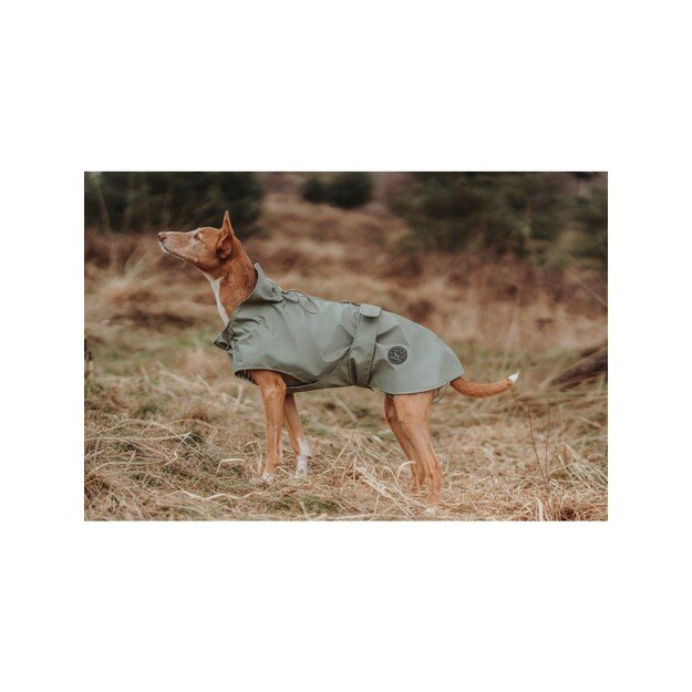 Hunter - Raincoat for dogs Milford 65, green - (69669)