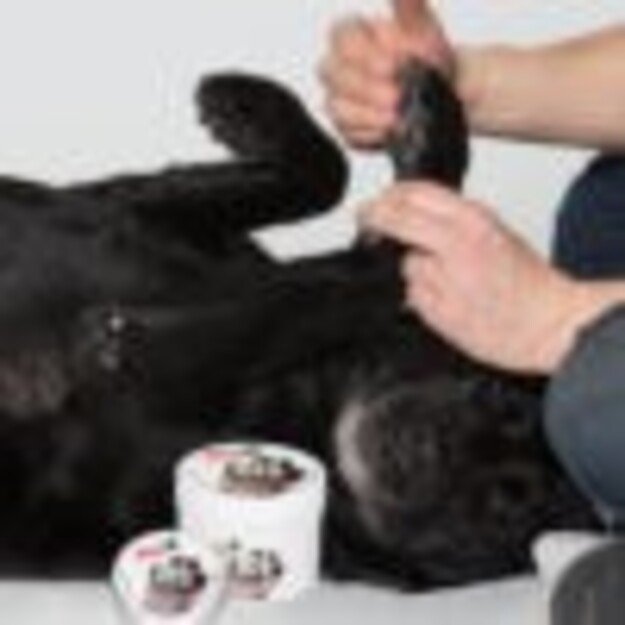 Pawz - Max Wax 200 g - (278201) 2