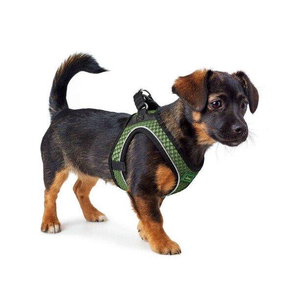 Hunter - Dog harness Hilo Comfort. S-M, green - (401673969800)