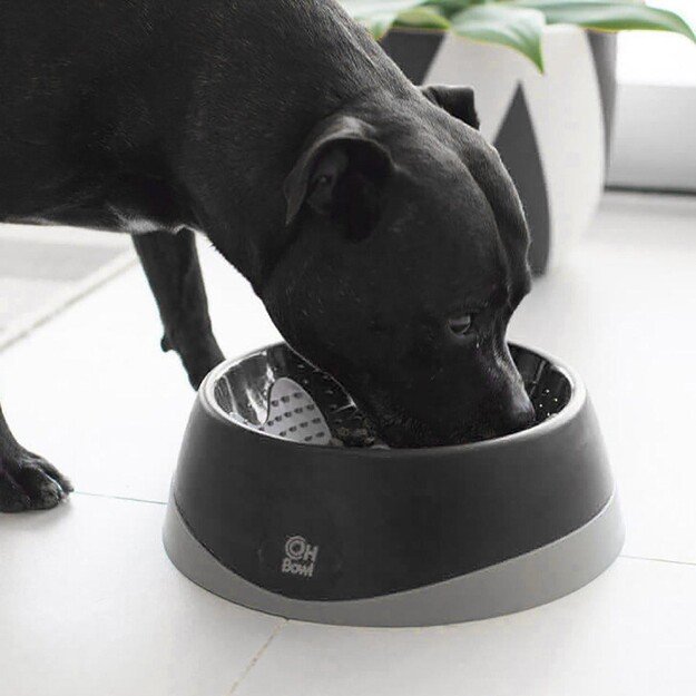 LICKI MAT - Dog Bowl Oral Hygiene Bowl M Black Ø22X7,2Cm - (645.5210)