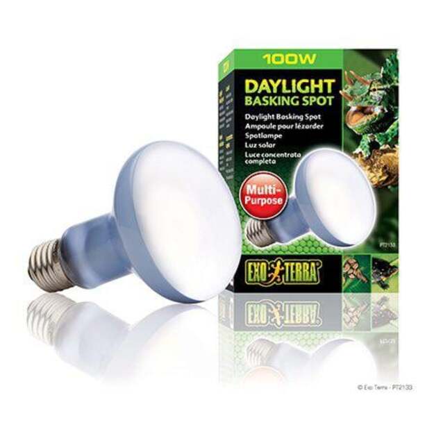 EXOTERRA - Daylight Basking Spot 100W R25 E27  Green - (220.2730)