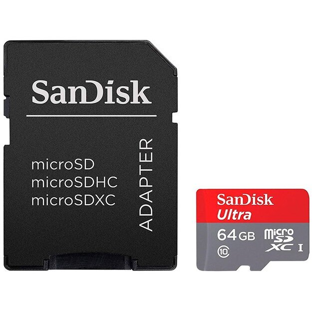 Memory Flash cards SANDISK SDSQQNR-064G-GN6IA