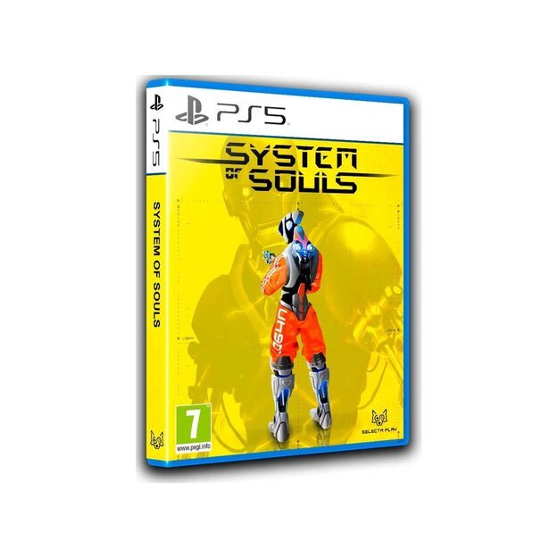 System of Souls
      
        - PlayStation 5