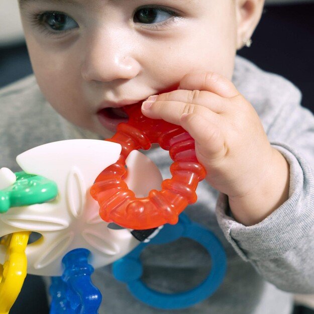 Baby Einstein - Ocean Explorers Sea of Sensory Teether - (BE-13158)