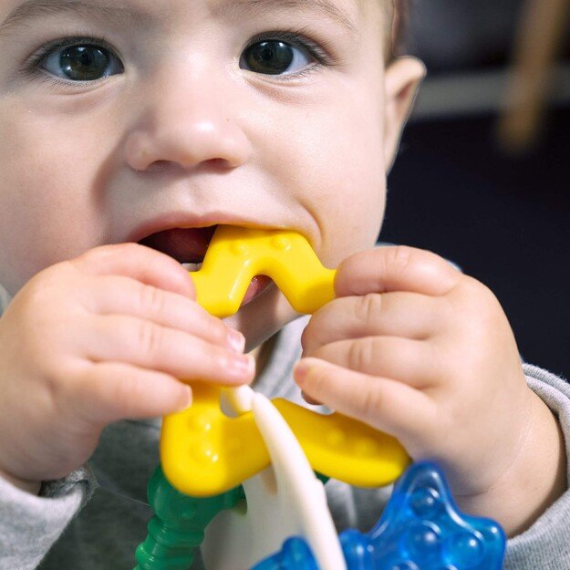 Baby Einstein - Ocean Explorers Sea of Sensory Teether - (BE-13158)