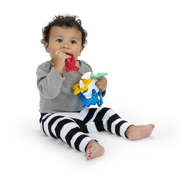 Baby Einstein - Ocean Explorers Sea of Sensory Teether - (BE-13158)