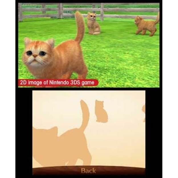 Nintendogs and Cats 3D: Toy Poodle (Select)
      
        - Nintendo 3DS