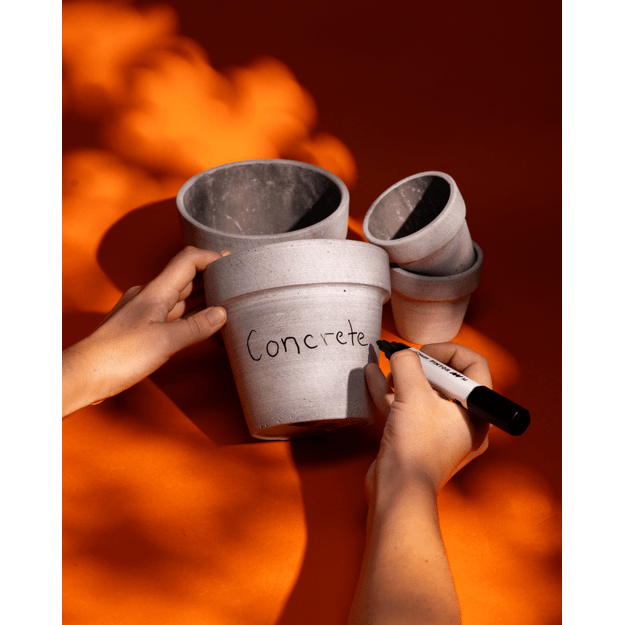 Pilot - Pintor Marker box with 6 classic colors (Medium Tip)