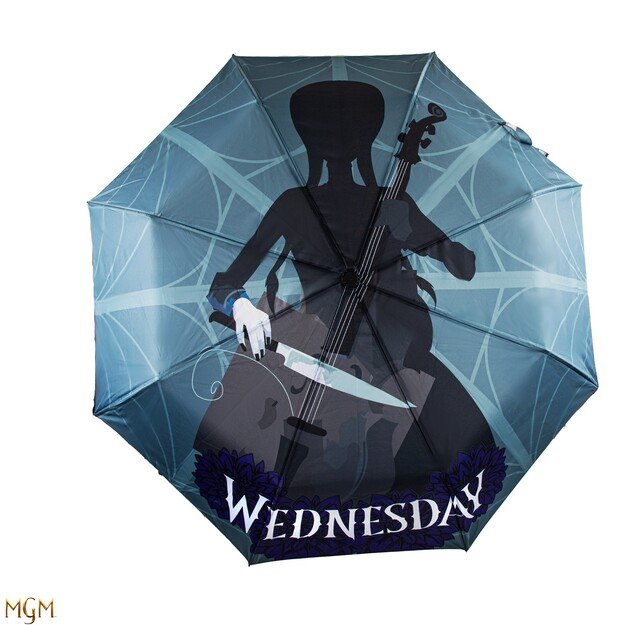 Wednesday - Umbrella - Wednesday with cello