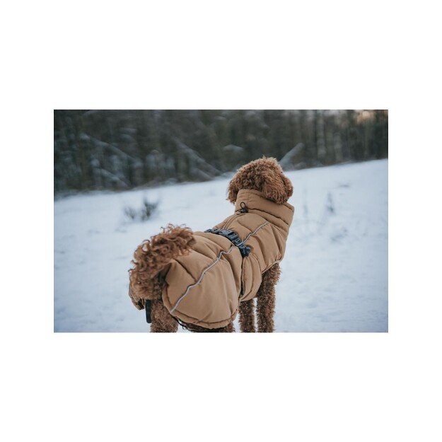 Hunter - Dogcoat Paxson Pug & Fr Bulldog 44, caramel - (203519)