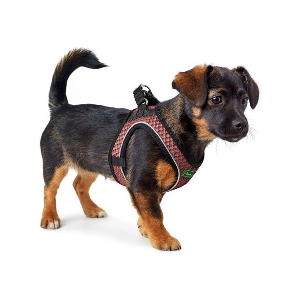 Hunter - Dog harness Hilo Comfort. XS-S, rosa - (401673969790)