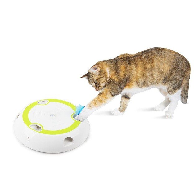 All For Paws - Cat Toy Interactive Wack'A'Feather 27X27X5.5Cm - (787.7562)