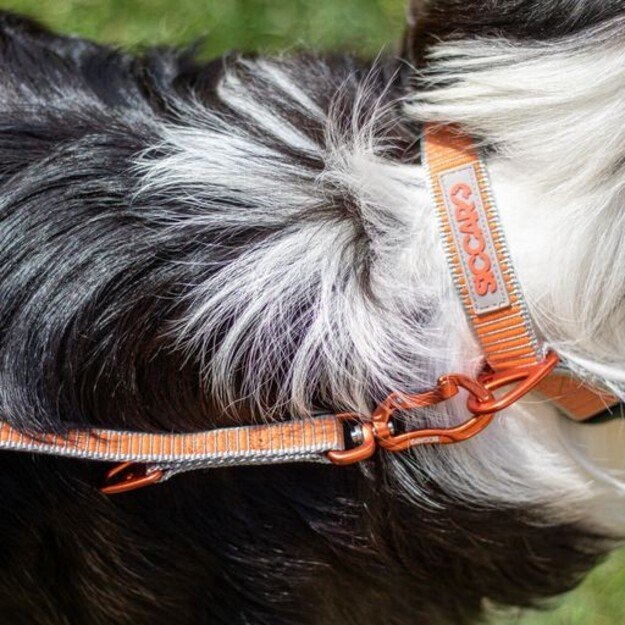 Siccaro - Sealines Dog Collar Mixed L - (S6011)