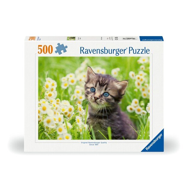 Ravensburger - Puzzle Kitten In The Meadow 500p (12000367)