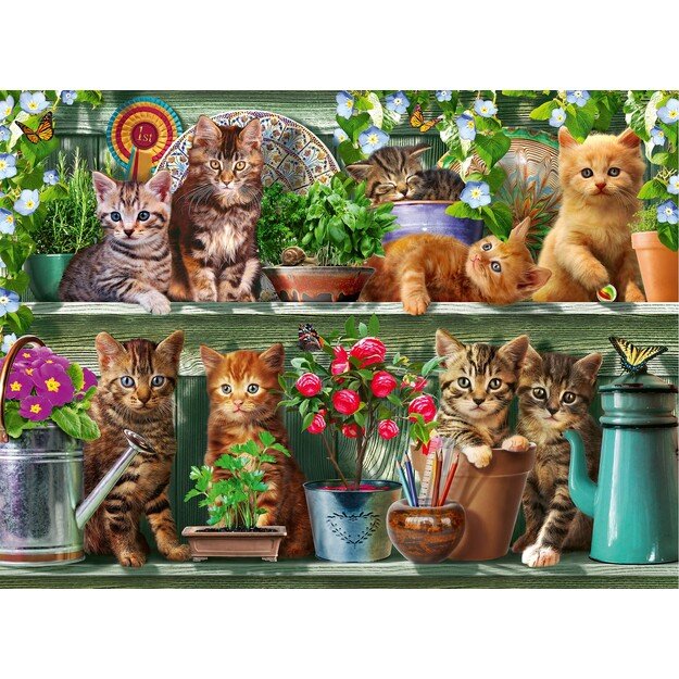 Ravensburger - Puzzle Cats On The Shelf 500p (12000205)