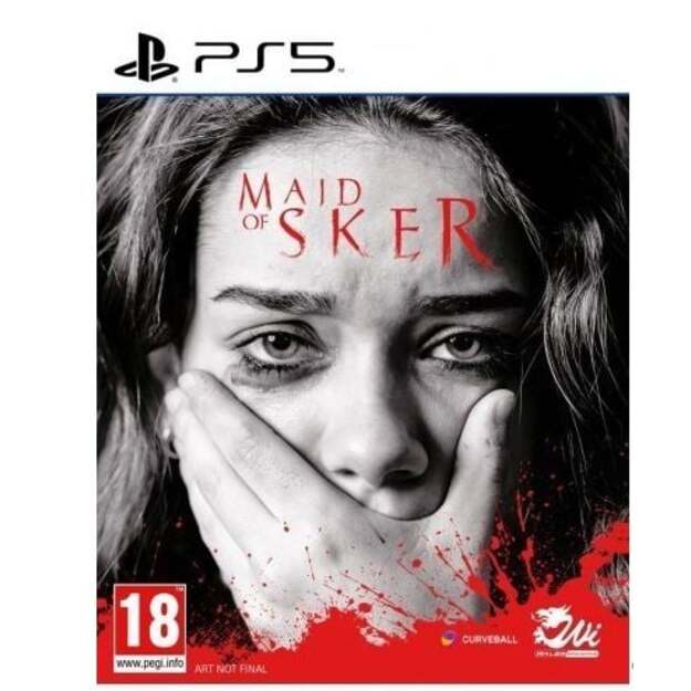 Maid of Sker
      
        - PlayStation 5