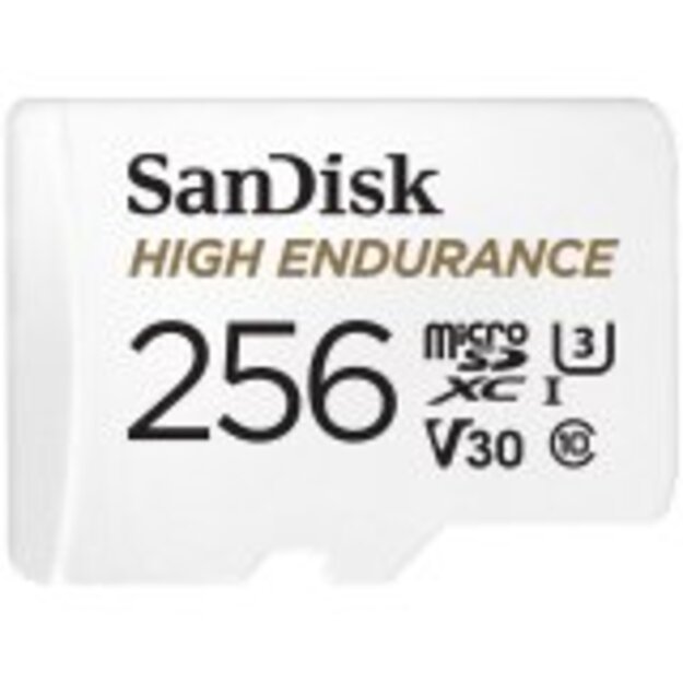 Memory Flash cards SANDISK SDSQQNR-256G-GN6IA