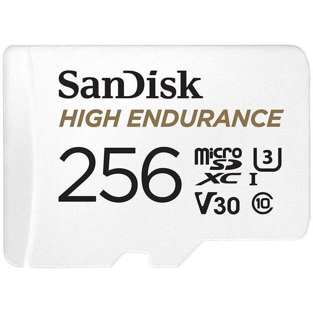 Memory Flash cards SANDISK SDSQQNR-256G-GN6IA