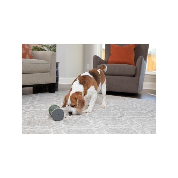 Petsafe - Kibble Chase Treat dispenser - (72984916964)