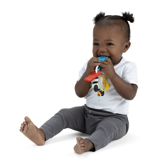 Baby Einstein - Shake-a-Shape Zen Teether Toy - (BE-16885)