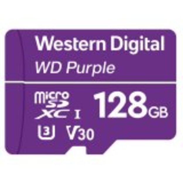 Memory Flash cards WESTERN DIGITAL WDD128G1P0C