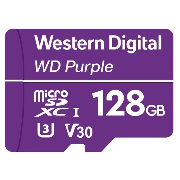 Memory Flash cards WESTERN DIGITAL WDD128G1P0C 1