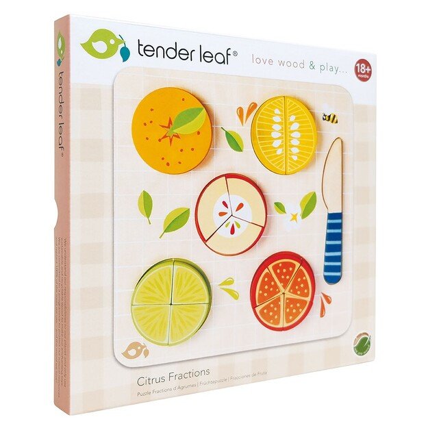 Tender Leaf - Learning Fractions - Citrus - (TL8414)