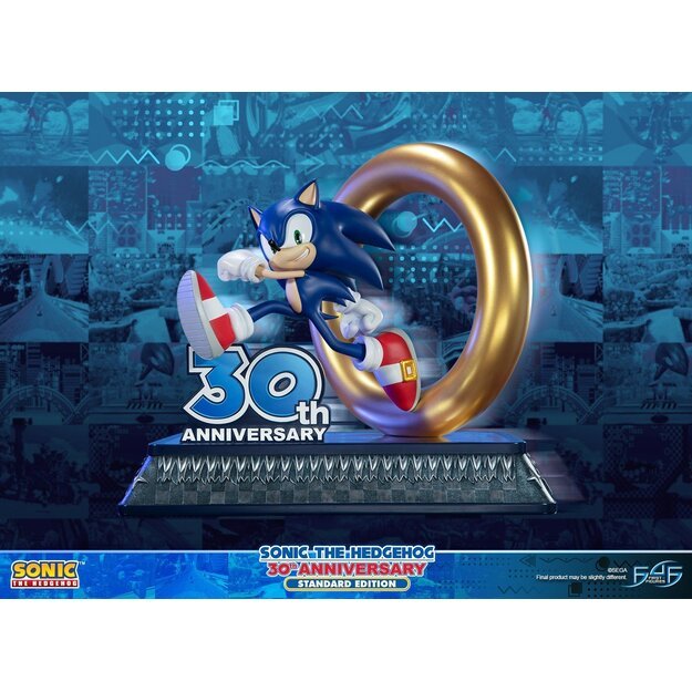 Sonic the Hedgehog – Sonic 30th Anniversary ( Resin)