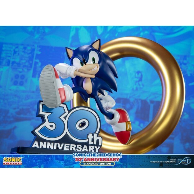 Sonic the Hedgehog – Sonic 30th Anniversary ( Resin)