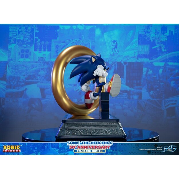 Sonic the Hedgehog – Sonic 30th Anniversary ( Resin)