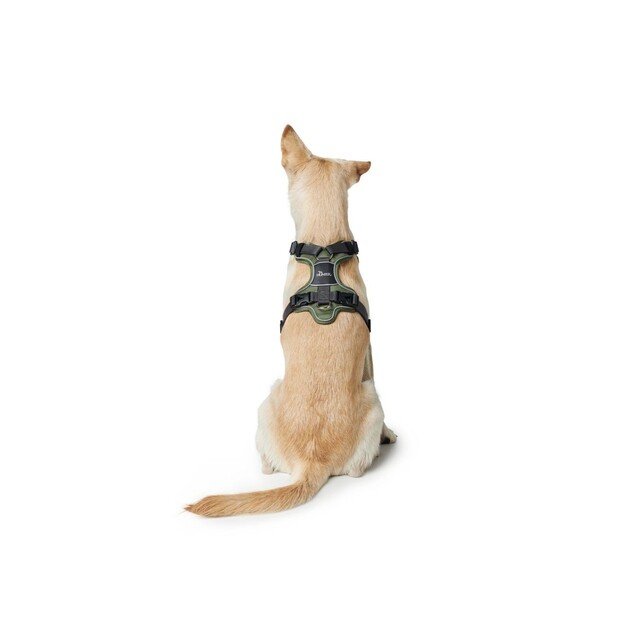 Hunter - Harness Divo M, green/grey - (67592)