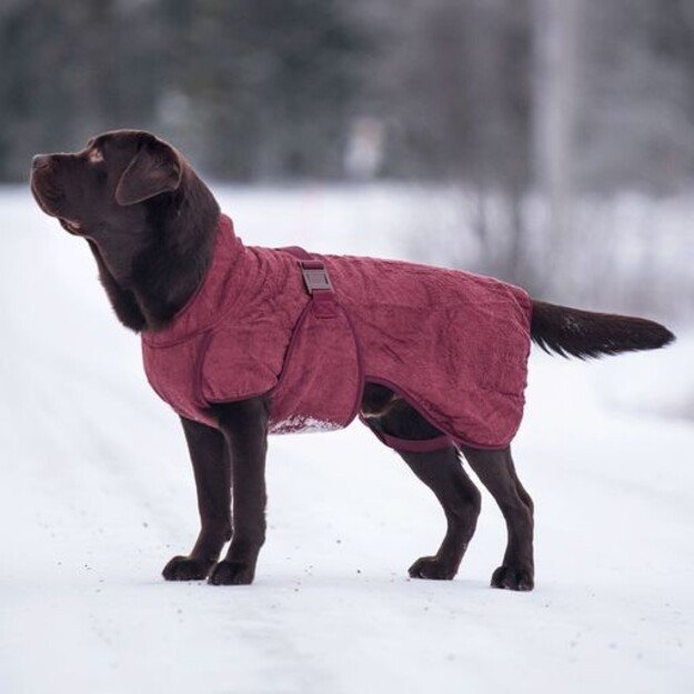 Siccaro - Smart Zinfandel 60 - Dog Coat f/drying (S2008)