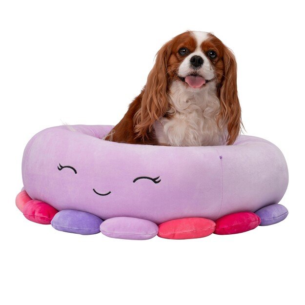 Squishmallows - Pet Bed - Octopus 61 cm (JPT0085-M)