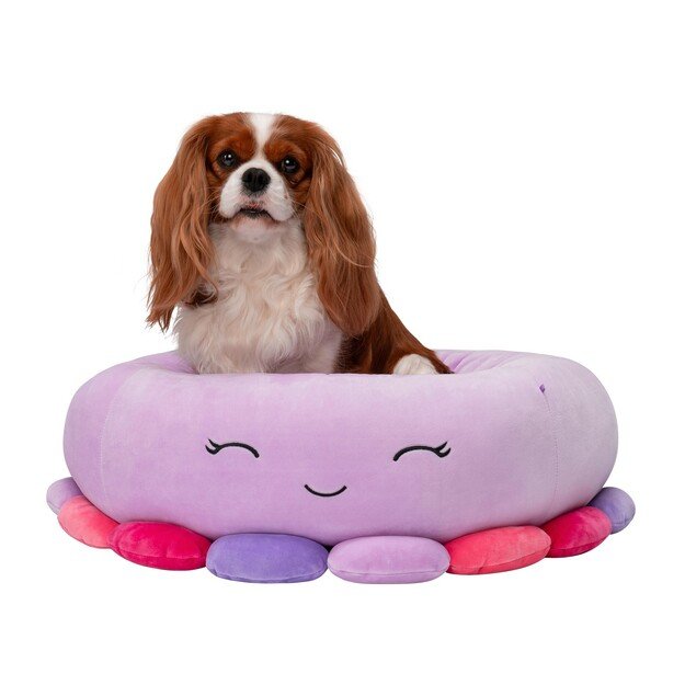 Squishmallows - Pet Bed - Octopus 61 cm (JPT0085-M)