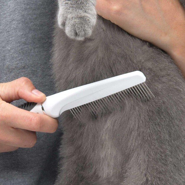 CATIT - Grooming Kit Short Hair - (730.0360)