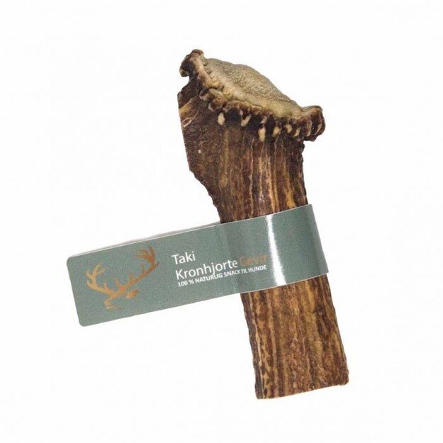 Taki - Deer Antler split M  12cm - (01-601)